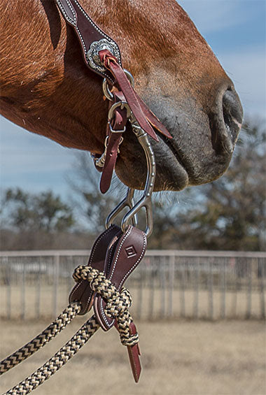 Havana Shanked Bridle Set