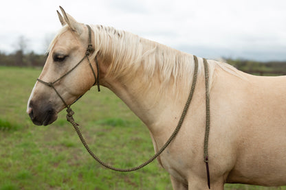 Patriot Halter and Lead