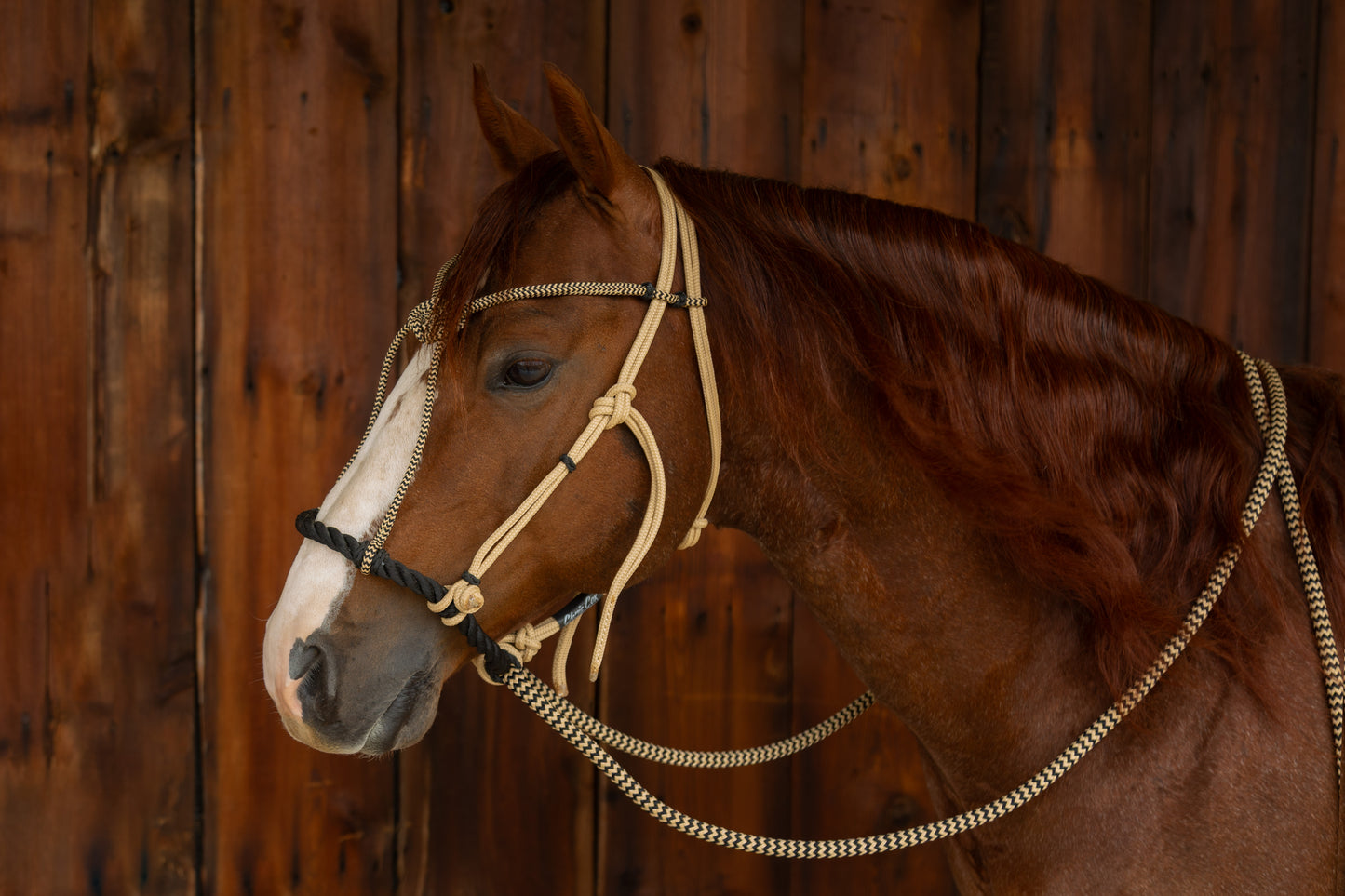 Signature Hackamore