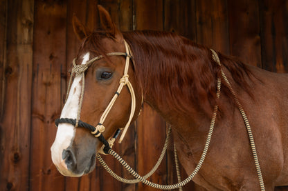 Signature Hackamore