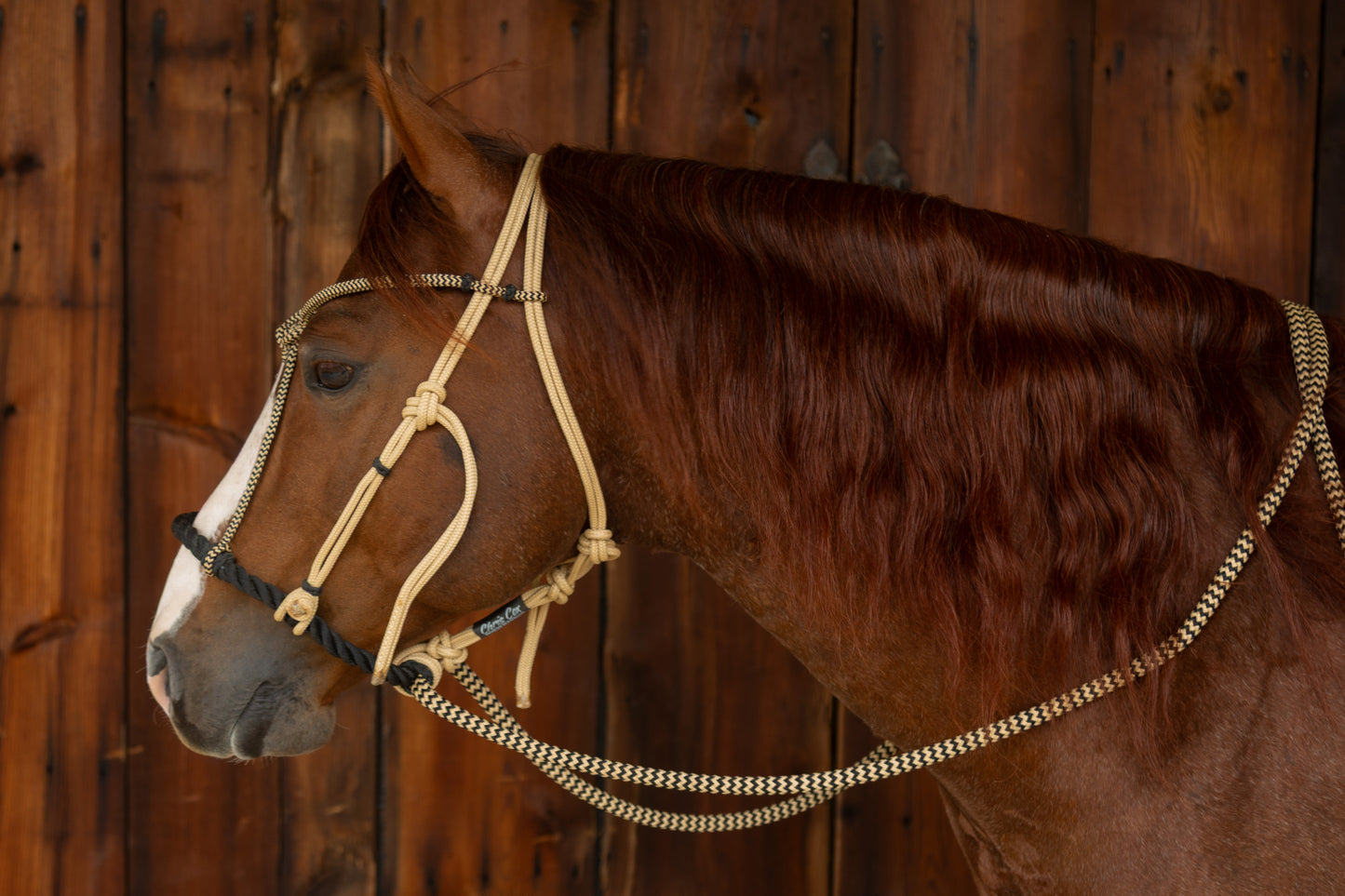 Signature Hackamore