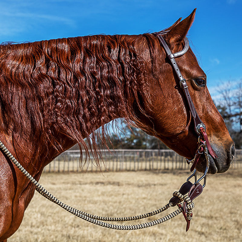 Havana Shanked Bridle Set
