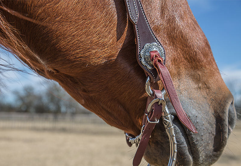 Havana Shanked Bridle Set