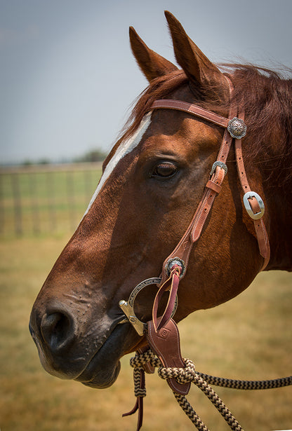 Harness Leather Bridle Set with Brown Navajo Mecate Reins