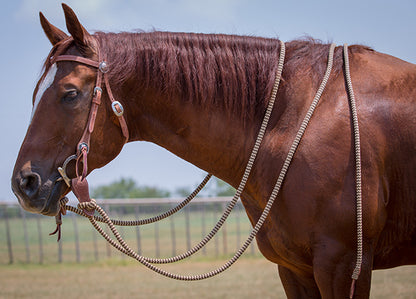 Harness Leather Bridle Set with Brown Navajo Mecate Reins