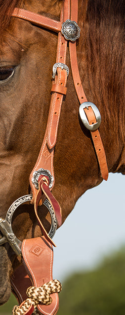 Harness Leather Bridle Set with Brown Navajo Sport Reins