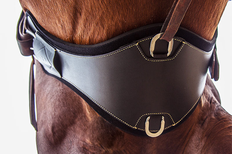 Chris Cox Signature Cinch