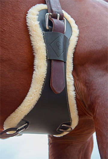 Chris Cox Signature Cinch