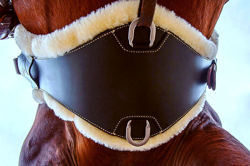 Chris Cox Signature Cinch