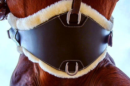 Chris Cox Signature Cinch